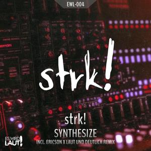 Synthesize (Ericson (DE) & Laut und Deutlich Remix)