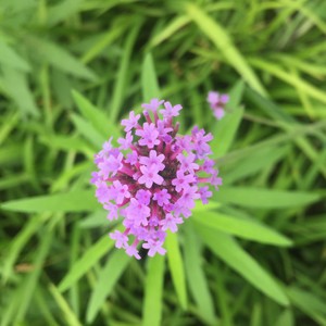 你还爱我吗？