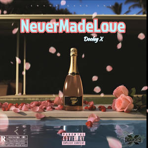 Never Made Love