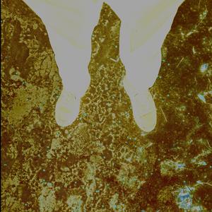 Drama in da Bahamas (Explicit)