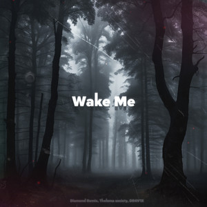 Wake Me (Explicit)