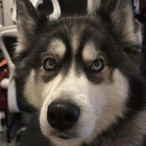 i think im sad (feat. glorygasp) (Explicit)