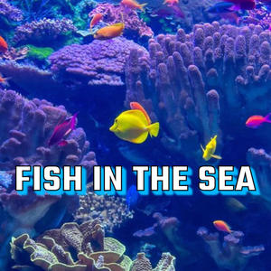 FISH IN THE SEA