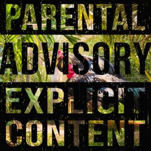 Switcharooster (Explicit)