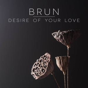 Desire Of Your Love