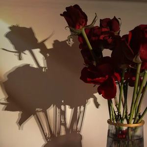 像玫瑰错过花期而我错过你