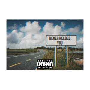Never Needed You (Explicit)