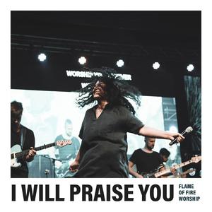 I Will Praise You (feat. Alex Zablotskiy)