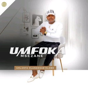 Uhlanya olungenas'hlobo (feat. Mroza)