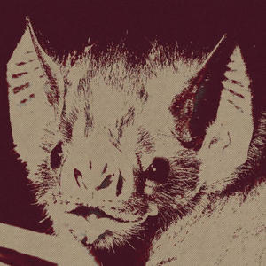 SORRY 4 THAT (feat. Tadu Vázquez)