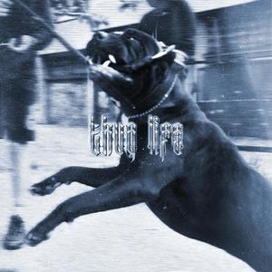 Thug Life (feat. Povlo) (Explicit)