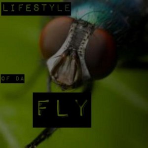 LODF outro (Explicit)