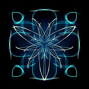 Psychedelic Experience