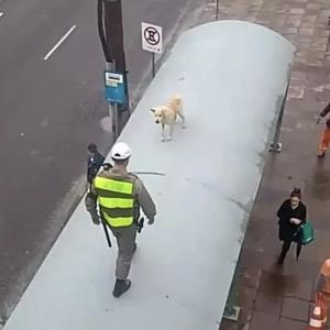 CEPultura (Explicit)