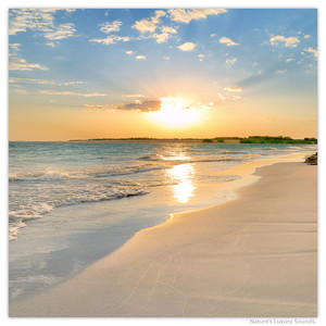 Beach Wake up Soundscape (feat. Relaxing Wave Sounds)