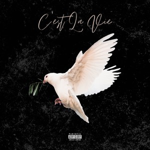 C'est La Vie (Explicit)