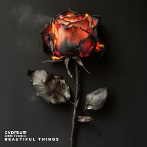 Beautiful Things (feat. Shawn O'Donnell)