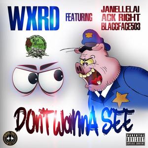 Don't Wanna See (feat. Akt Right, BlaccFace503 & JanelleLai) (Explicit)