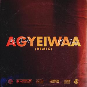Agyeiwaa (feat. 42 Tony) (Remix|Explicit)