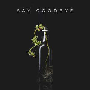 Say Goodbye (Explicit)