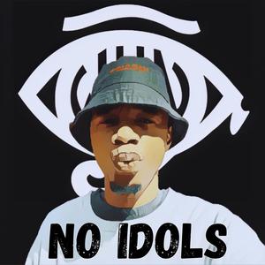 NO IDOLS