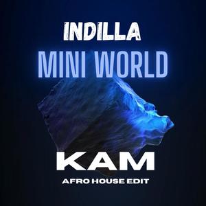 Mini World (Afro House Edit) (Radio Edit)