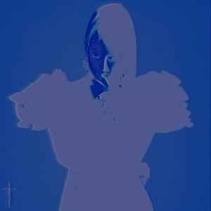 Secret Story of the Swan