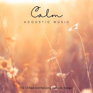 Calm Acoustic Music: 12 Chilled and Relaxing Acoustic Songs