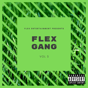 Flex Gang, Vol. 3 (Explicit)