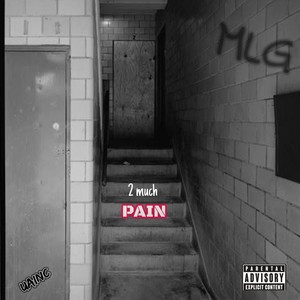 2Much PAIN (Explicit)