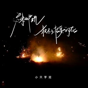 迟来的阳光救不了枯萎的花