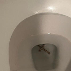 what did i do? (Explicit)