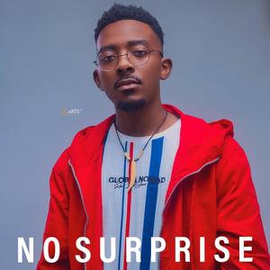 No Surprise (Explicit)