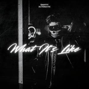 What It's Like (feat. The Artist Flower) (Explicit)