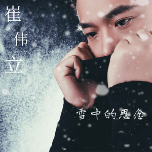 雪中的思念 (DJ何鹏版)封面