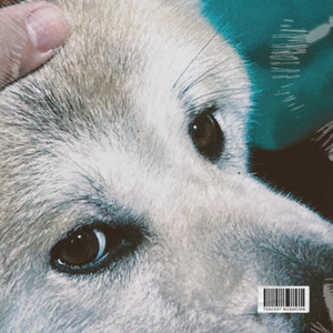 我麻木地接受，木讷是我的长期主义