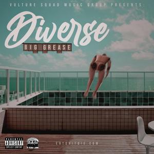 Diverse (Explicit)