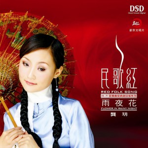 雨夜花封面
