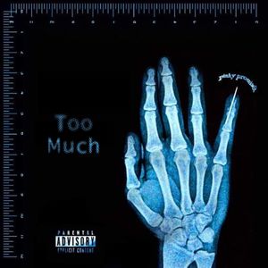 Too Much (Explicit)