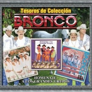 Tesoros De Coleccion - Bronco - Homenaje A Los Grandes Grupos