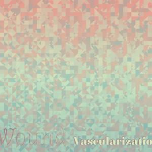 Wound Vascularization