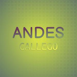 Andes Gallego