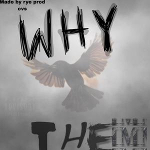 Why them (Explicit)