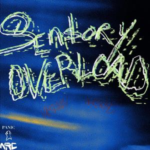 SENSORY OVERLOAD (feat. HHPBABYG) (Explicit)