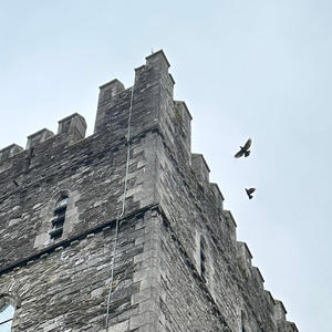 If You Could Read My Mind