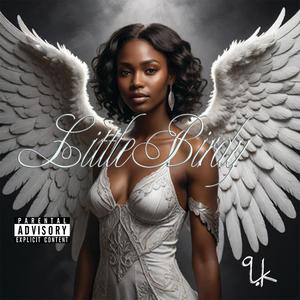 Little Birdy (Explicit)