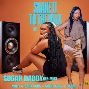 Sugar Daddy Shake it to the max RE-MIX fly (feat. Moliy) [DJ RoH Remix] [Explicit]
