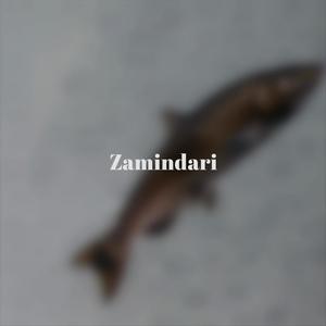 Zamindari