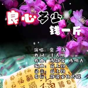 良心多少钱一斤 (伴奏)