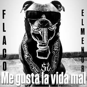 Me gusta la vida mal (feat. Yng JR {El Menor})